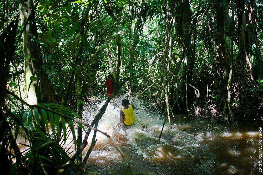 В джунглях дельты реки Ориноко