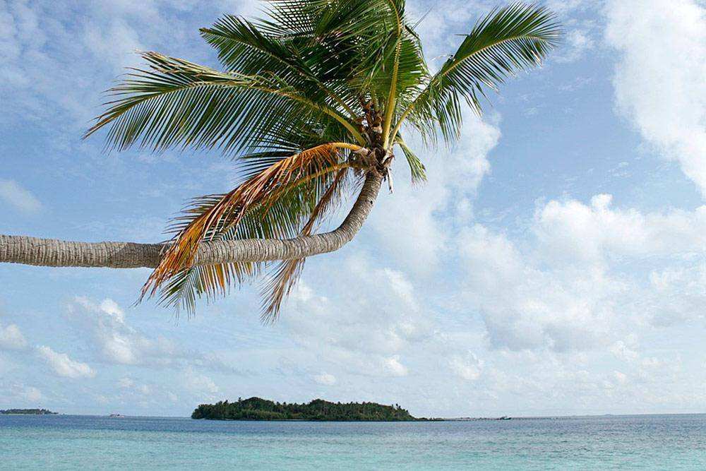Мальдивская Республика, остров Бьяду 