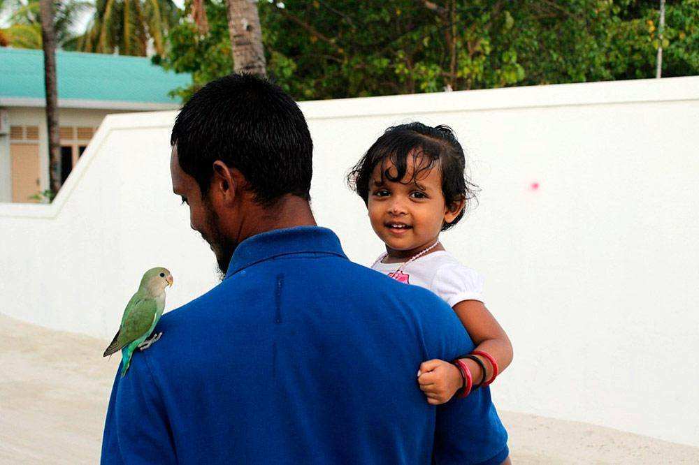 Мальдивская Республика - остров Маафуши 