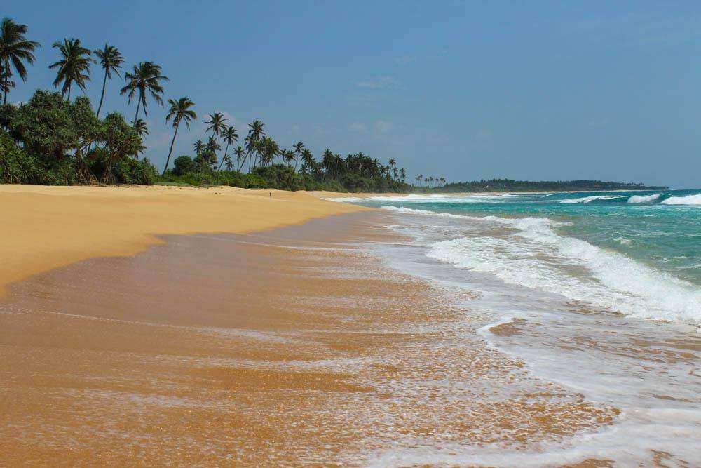 Шри-Ланкийский берег