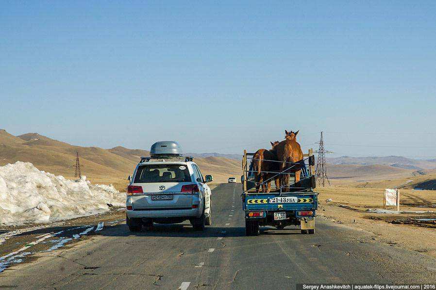 О монгольских дорогах