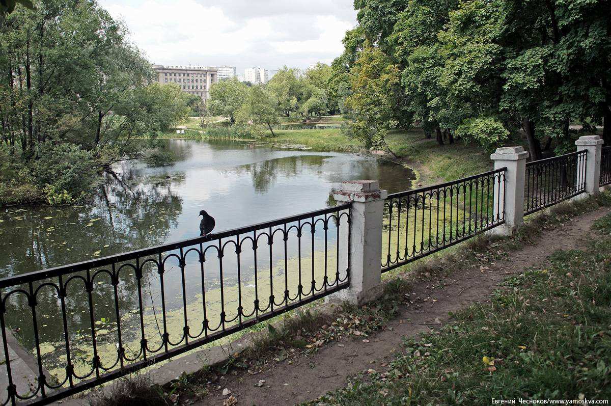 Москва лефортово парк