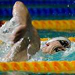 5 медалей чемпионата России по плаванию заработали москвичи