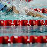 5 медалей чемпионата России по плаванию заработали москвичи