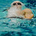 5 медалей чемпионата России по плаванию заработали москвичи