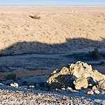 Аральское море