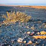 Аральское море