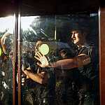 Беспорядки в бирюлево (фото)