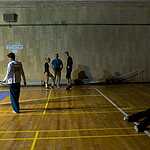 Чемпионат по буги-вуги и акробатическому рок-н-роллу