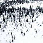 Cнегоходный марафон «Ямалкан» прошел в Салехарде