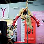 Эротическая выставка «X-show»