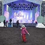 Москвичи встретили главного Деда Мороза России