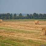 Москва - Минск автостопом