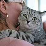 Выставка кошен на ВВЦ