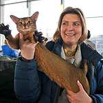 Выставка кошен на ВВЦ