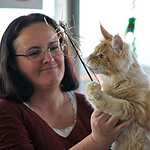 Выставка кошен на ВВЦ