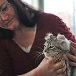 Выставка кошен на ВВЦ