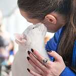 Выставка кошен на ВВЦ