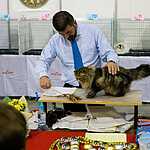 Гран-при Royal Canin