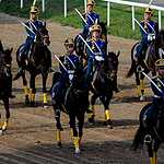 Скачки на приз Президента РФ прошли в Москве