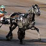 Скачки на приз Президента РФ прошли в Москве