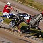 Скачки на приз Президента РФ прошли в Москве