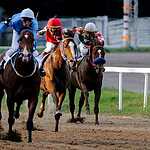 Скачки на приз Президента РФ прошли в Москве