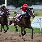 Скачки на приз Президента РФ прошли в Москве