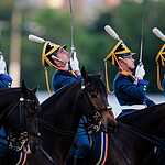 Скачки на приз Президента РФ прошли в Москве