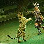 «Страшная сила» Запашных в «Лужниках»