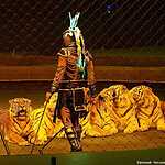 «Страшная сила» Запашных в «Лужниках»