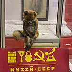 Упоротый лис посетил Москву