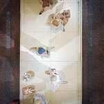 ГУМ, выставка истории моды