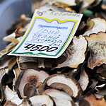 Village Fest в Сокольниках