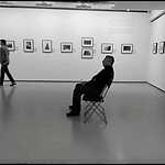 Выставка Эллиотта Эрвитта в Москве