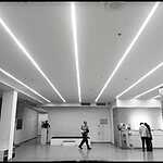 Выставка Эллиотта Эрвитта в Москве