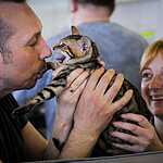  На ВВЦ прошла выставка кошек «Цветок сакуры»