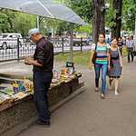 Яблочный город