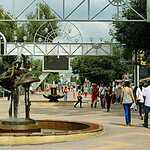 Яблочный город