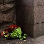 Яблочный город