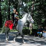 Яблочный город