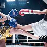 Ночь тайского бокса