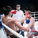 Ночь тайского бокса