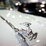 22-я «Олдтаймер-галерея»