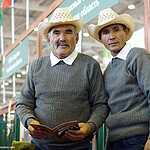 «Золотая осень»