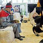 «Золотая осень»