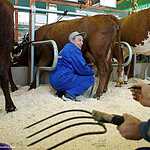 «Золотая осень»