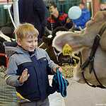 «Золотая осень»