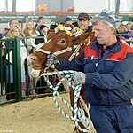 «Золотая осень»