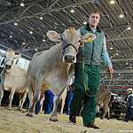 «Золотая осень»